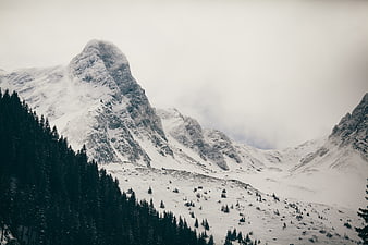 Snowy Mountain Peak with Pine Forest in Winter