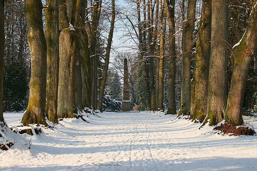 Snowy tree-lined avenue leading to a stone obelisk in winter