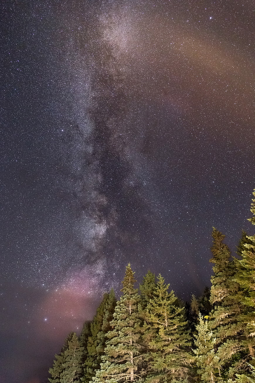 Milky Way Galaxy Over Pine Forest at Night
