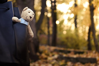 Cute Teddy Bear in Backpack Pocket in Autumn Forest