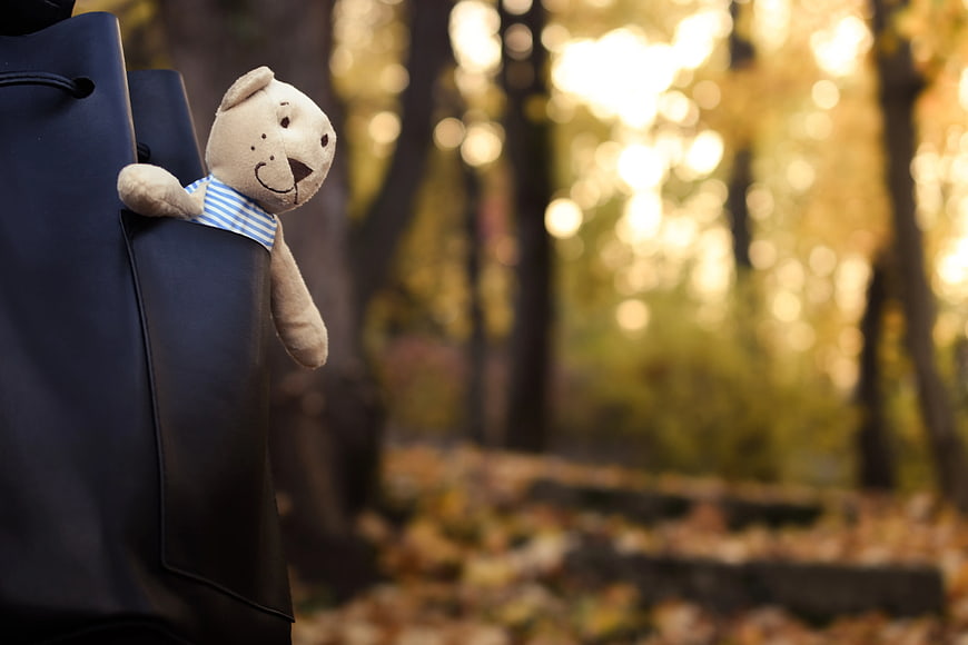 Cute Teddy Bear in Backpack Pocket in Autumn Forest