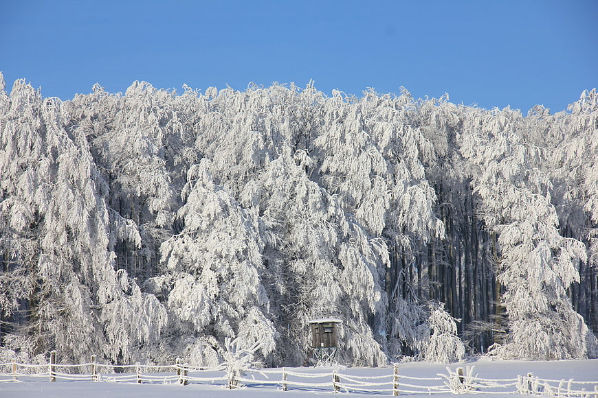 Snow-covered forest with wooden hunting tower in winter