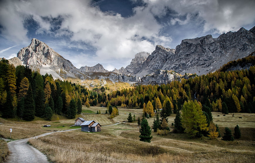 Autumn Landscape in the Dolomites with Wooden Cabins and Golden Forest