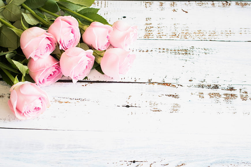 Pink Roses Bouquet on White Rustic Wooden Background