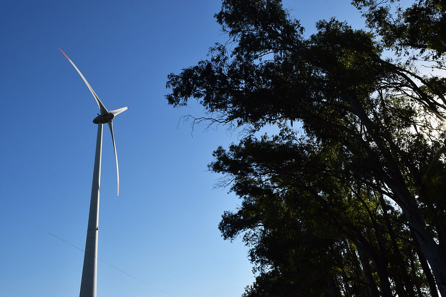 Wind Turbine Against Blue Sky with Trees