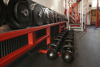 Rows of kettlebells and weight plates in a gym