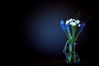 Blue and White Spring Flowers in Glass Vase on Dark Background