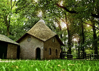 Historic brick water mill with thatched roof in a lush green forest