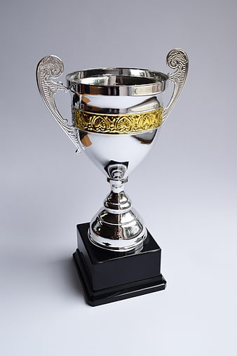 Silver and Gold Trophy Cup on Black Base