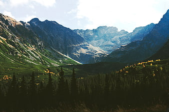 Majestic Mountain Valley with Forest and Rocky Peaks