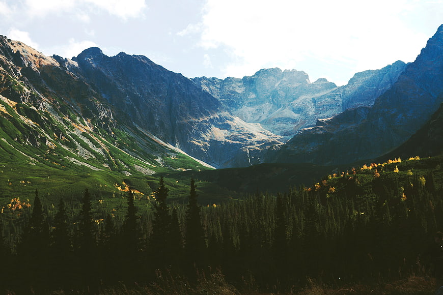 Majestic Mountain Valley with Forest and Rocky Peaks