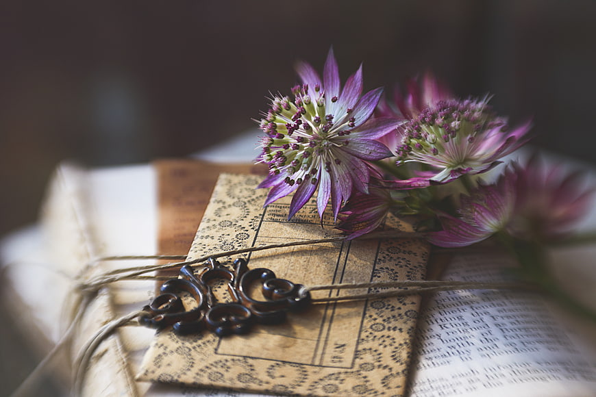 Vintage Book with Purple Astrantia Flowers and Lace Bookmark