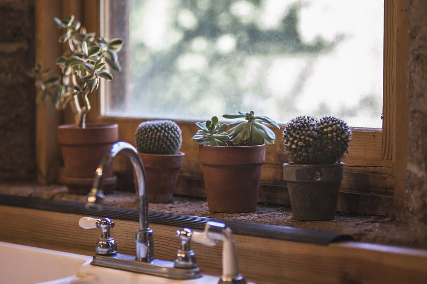 Potted Cacti and Succulents on Wooden Kitchen Window Sill