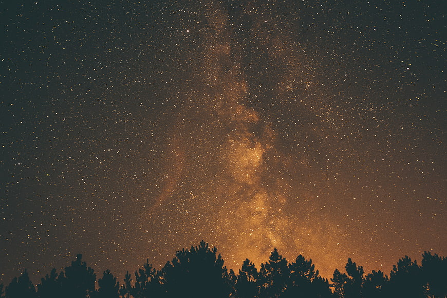 Milky Way Galaxy Over Silhouetted Pine Forest at Night