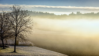 Serene Winter Morning Landscape with Fog Over Lake