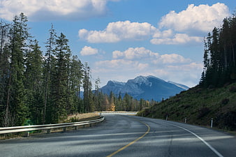 Winding Mountain Road Through Pine Forest