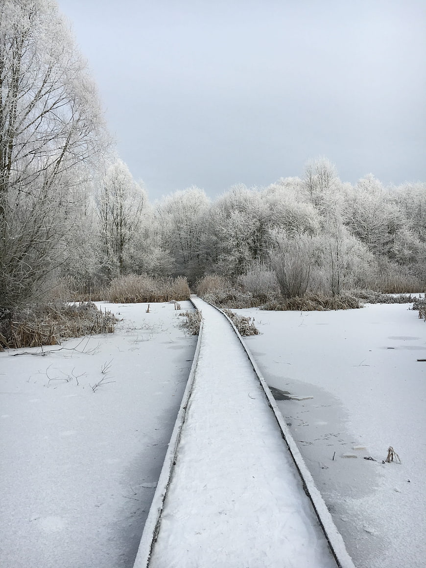 Snow-covered wooden bridge over frozen winter landscape
