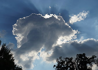 Dramatic cumulus cloud with sun rays and tree silhouettes