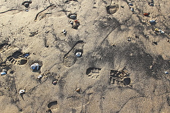 Shoe prints and seashells on sandy beach texture
