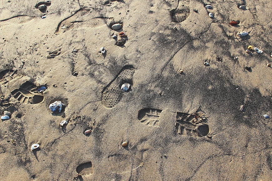 Shoe prints and seashells on sandy beach texture
