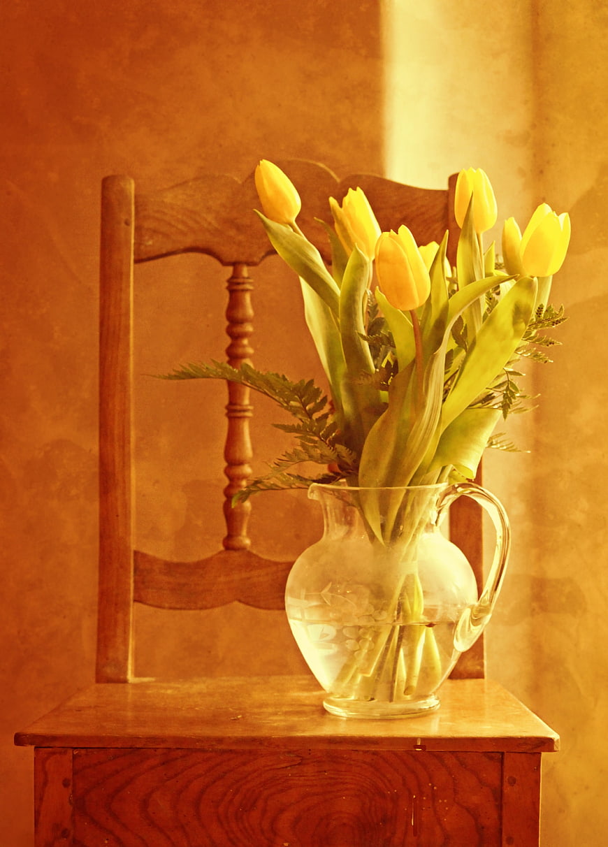 Yellow tulips in glass pitcher on vintage wooden chair