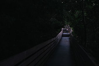 Person walking on dark wooden boardwalk in forest
