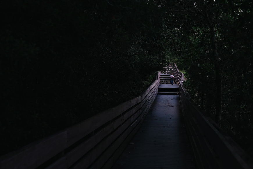 Person walking on dark wooden boardwalk in forest
