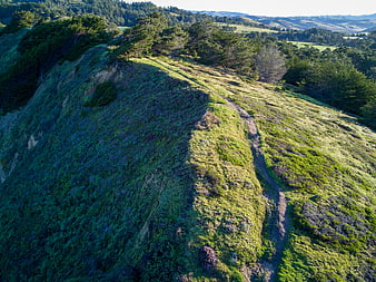Aerial view of a hiking trail on a green mountain ridge