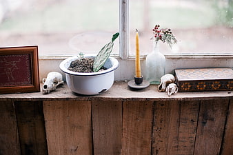 Rustic Window Sill Still Life with Skulls and Candle