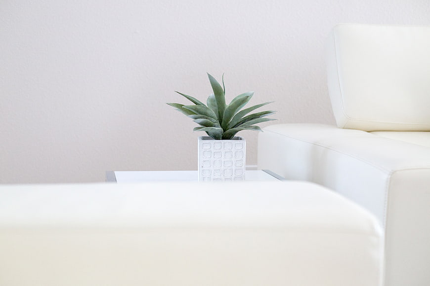 Minimalist White Interior with Green Plant on Side Table