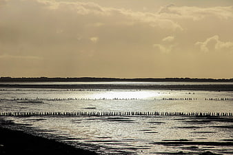 Silhouetted wooden posts in calm sea at golden hour
