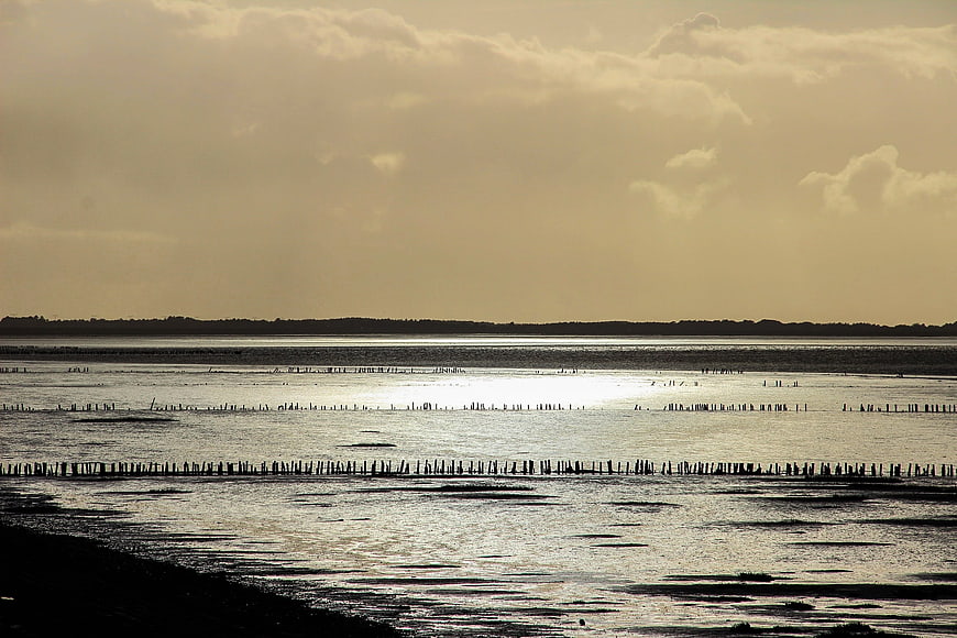 Silhouetted wooden posts in calm sea at golden hour