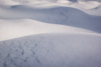 Close-up of fresh snow texture with soft shadows