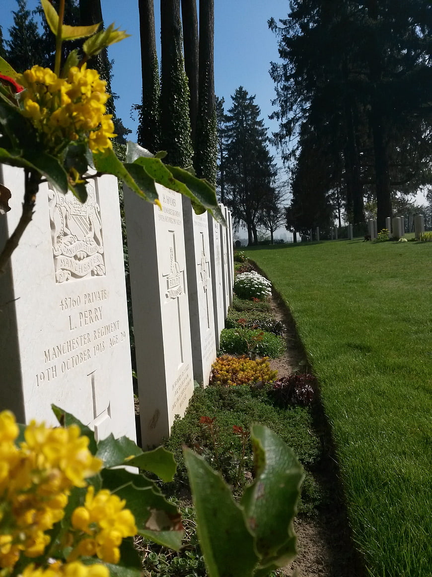 Yellow flowers framing white war graves in a cemetery