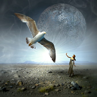 Surreal woman reaching for giant seagull under massive moon