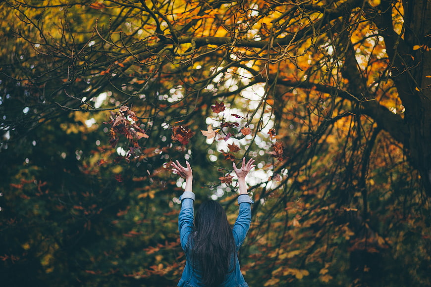 Woman Reaching for Falling Autumn Leaves in Forest