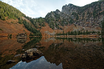Serene Mountain Lake with Autumn Reflections and Forest