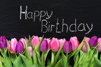 Happy Birthday Chalk Text on Slate with Pink and Purple Tulips