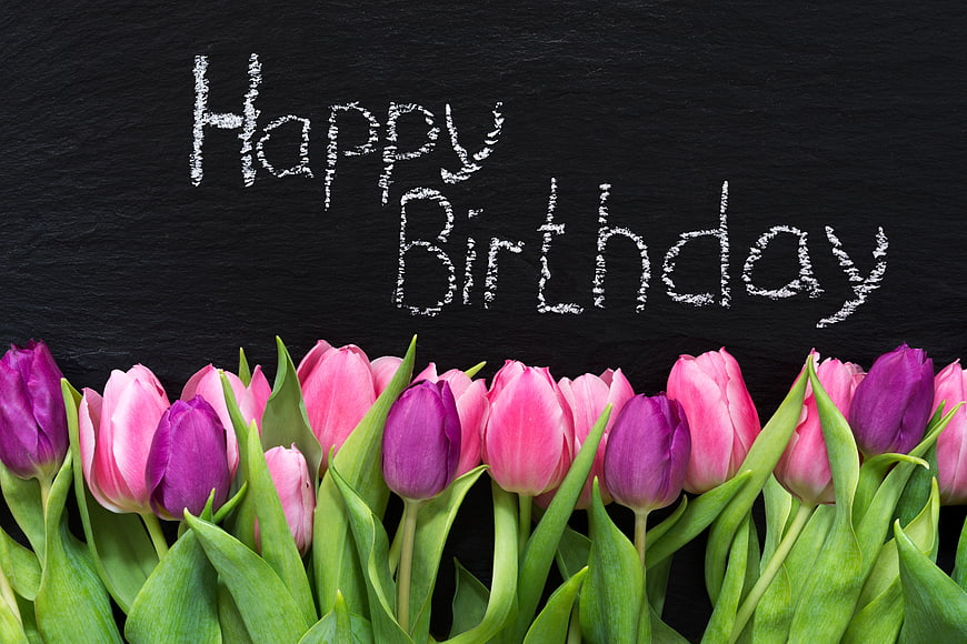 Happy Birthday Chalk Text on Slate with Pink and Purple Tulips