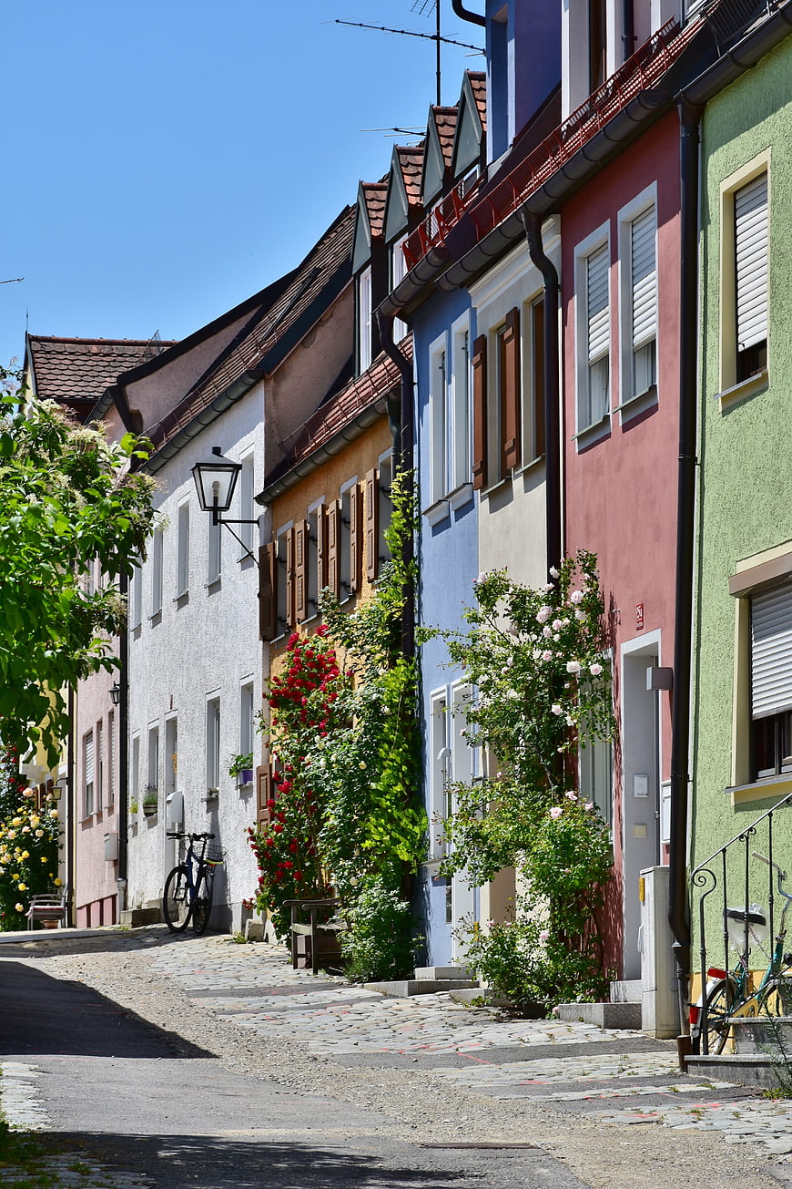 Colorful European Street with Cobblestones and Climbing Roses