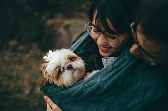 Couple holding small dog in teal sweater outdoors