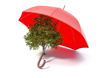 Red umbrella protecting a green tree on white background