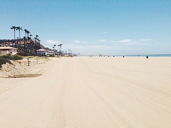 Wide sandy beach with palm trees and houses under blue sky