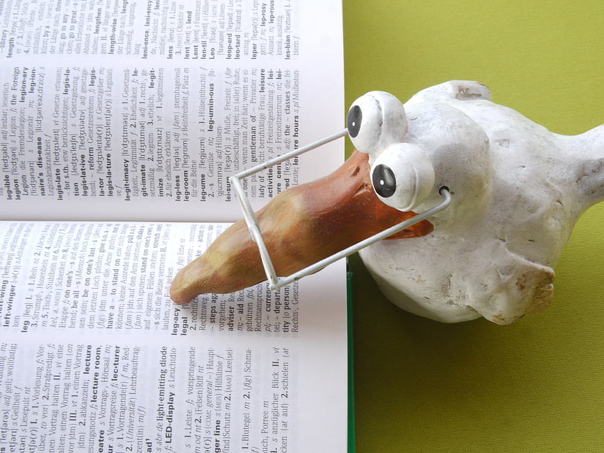 Clay bird figurine with glasses reading a dictionary