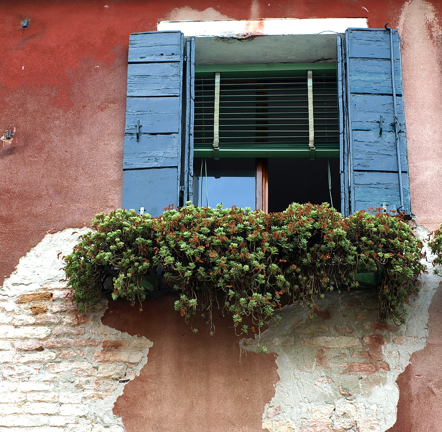 Weathered red wall with blue shutters and succulent window box