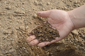 Hand holding loose brown soil in an agricultural field