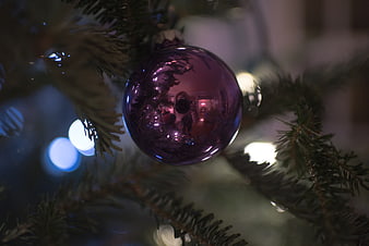 Close-up of purple Christmas bauble on pine tree with bokeh lights