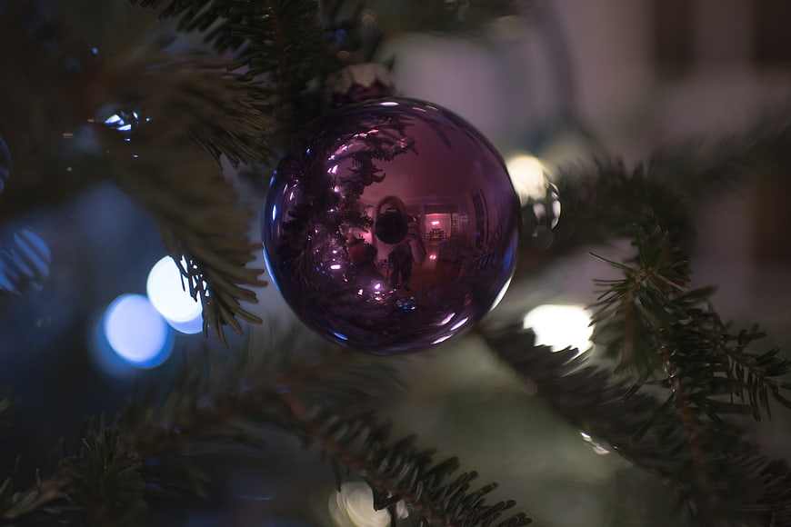 Close-up of purple Christmas bauble on pine tree with bokeh lights