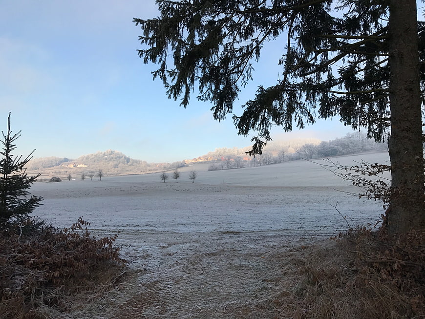 Serene Winter Landscape with Frosty Field and Distant Hills