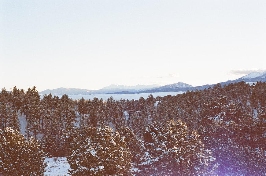 Snowy Pine Forest with Distant Mountains in Winter Sunset